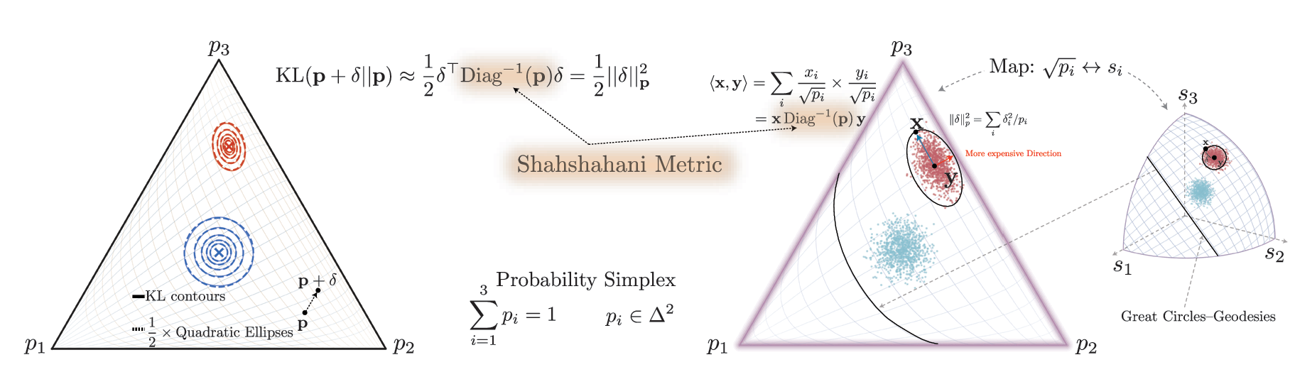 Shahshahani geometry visualization